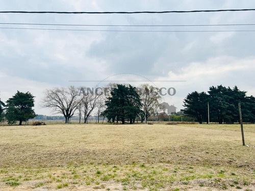 Imagen 18 de 24 de Terrenos Industriales