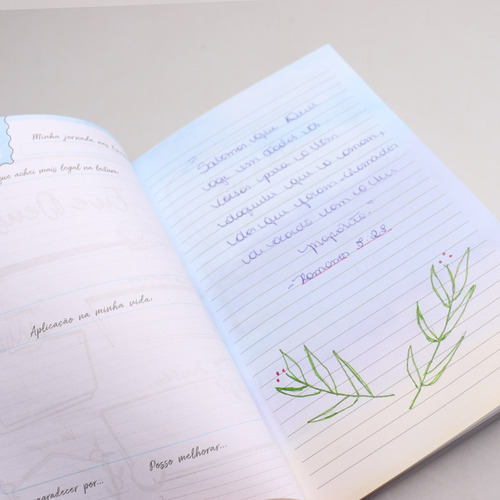 Devocional Eu E Deus | Flores Do Campo | Livro De Oração