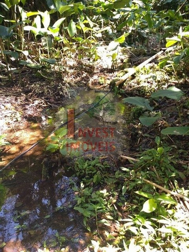 Imagem 2 de 6 de Area - Ref: 3443 - V-3443