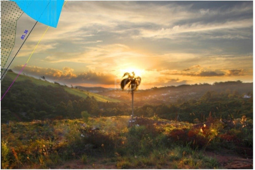 Terreno Em Vila Nova - El56356770