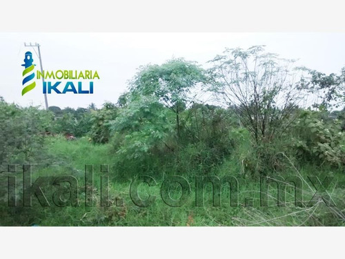 Imagen 3 de 11 de Terreno En Venta Del Puerto