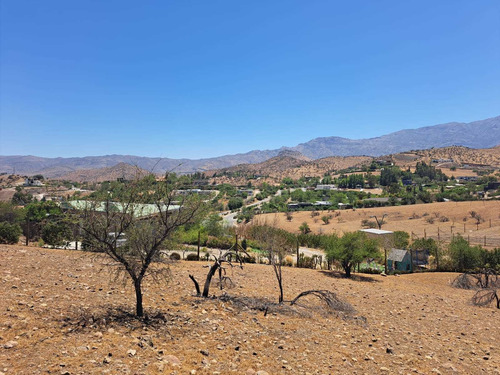 Imagen 3 de 11 de Hacienda De Chacabuco. Excelente Sitio En Venta