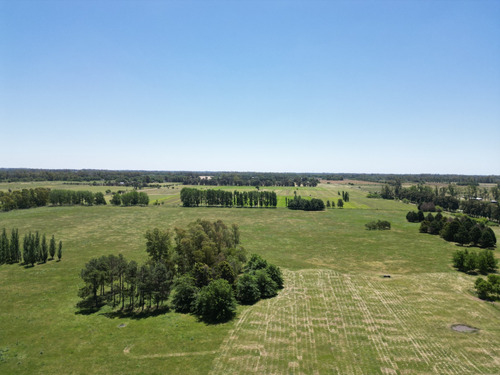 Campo En Pilar