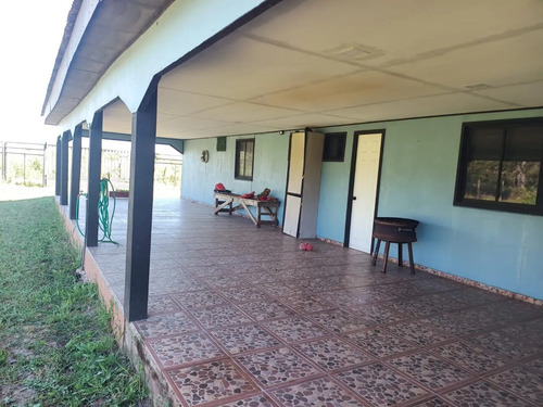 Parcela 5000 Mt2  Casa 435 Mt2 San Carlos, Gaona Arriba