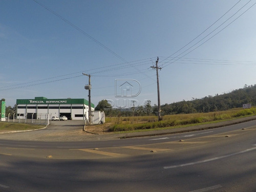 Imagem 2 de 6 de Terreno - Rio Maina - Ref: 22675 - V-22675