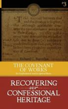 Libro The Covenant Of Works : Its Confessional And Script...