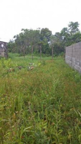 Imagem 4 de 5 de Terreno No Bairro Jardim Palmeiras, Em Itanhaém, Com Projeto Aprovado Para Construção De Casa Geminada