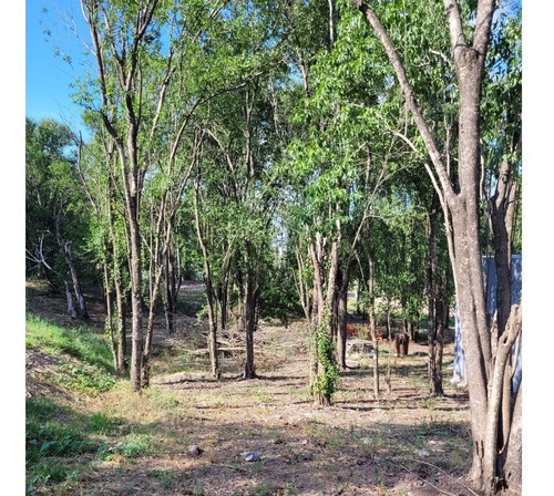 Imagen 9 de 18 de Terreno En Venta, Villa Catalina, Escritura, Ruta E 53, Rio Ceballos, Seguridad