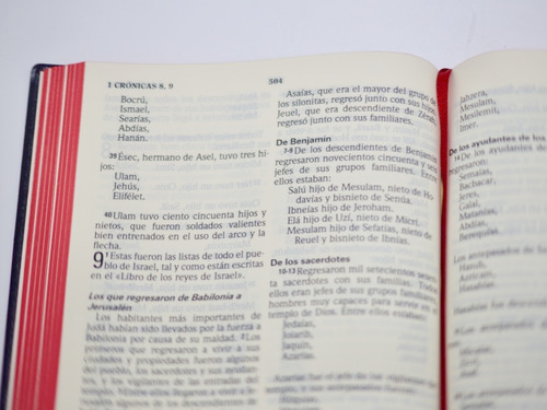 Biblia Letra Gigante Lenguaje Actual Con Deuterocanónico