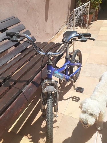 Bicicleta Olmo