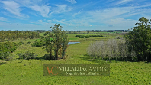 Chacra De 26 Hectàreas En Pantanoso, Sauce, Canelones