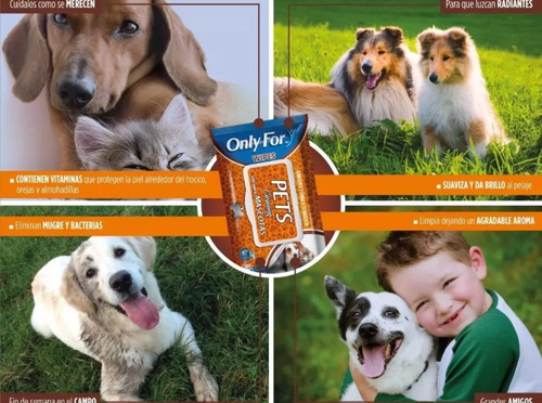 Toallitas Humedas Para Mascotas Only For Wipes 6 Pack