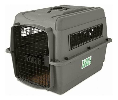 Petmate Sky Caseta, Multicolor, 28 L X 20.5 W X 21.5 H