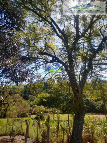 Imagem 6 de 15 de Sitio Em Bragança Paulista - 479
