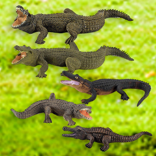 Modelo De Cocodrilo 5 Piezas