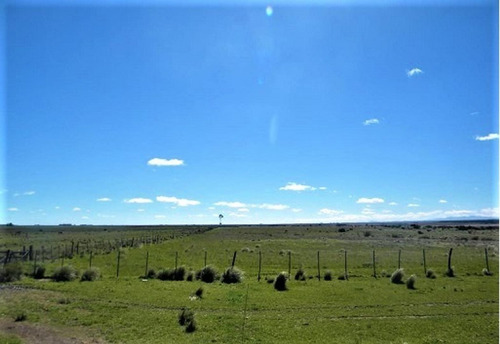 Imagen 3 de 9 de Campo De 1040 Has, Bahía Blanca, Ruta 33, Km 23 Al Oeste