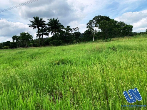 Imagem 7 de 12 de Fazenda Com 83 Tarefas Em Catu - Bahia - Afd069 - 70759118