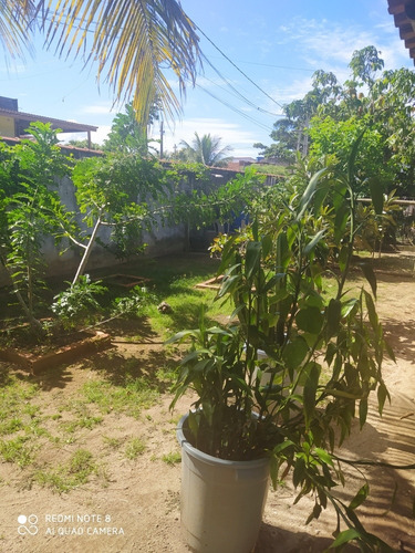 Vendo Mini Chacara