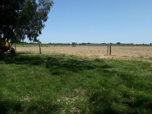 Imagen 2 de 9 de Campo - Villa Soriano