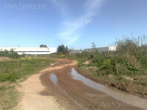 Imagen 6 de 19 de Excelente Terreno A Mts. De Panamericana