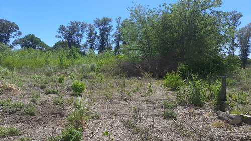 Venta Campo Parque Orense  General Rodríguez