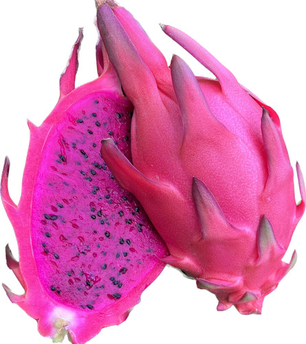 3 Esquejes De Pitahaya Hylocereus Ocamponis (color Púrpura)
