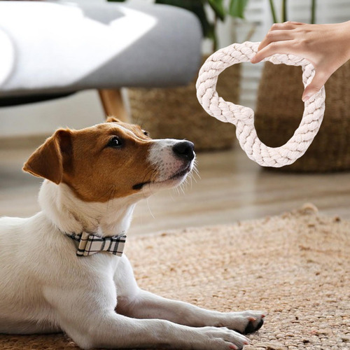 Juguete Para Masticar Con Cuerda Para Perros Juguete Para Pe