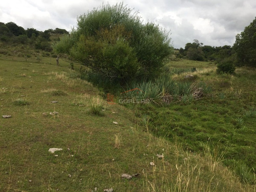 Imagen 9 de 14 de Venta De Chacra En Zona De Ruta 39 A 70 Km De Punta Del Este