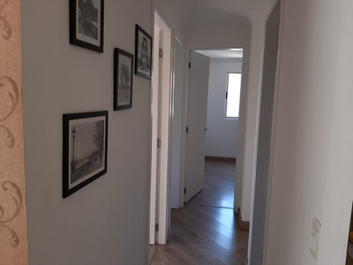 Imagem 3 de 21 de Apartamento 3 Quartos Santo André - Sp - Parque Jaçatuba - Rm350ap