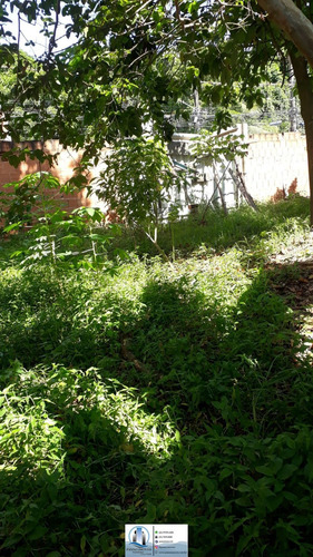 Imagem 4 de 24 de Terreno Em Albuquerque, Belford Roxo/rj De 500m² À Venda Por R$ 50.000,00 - Te1483343-s