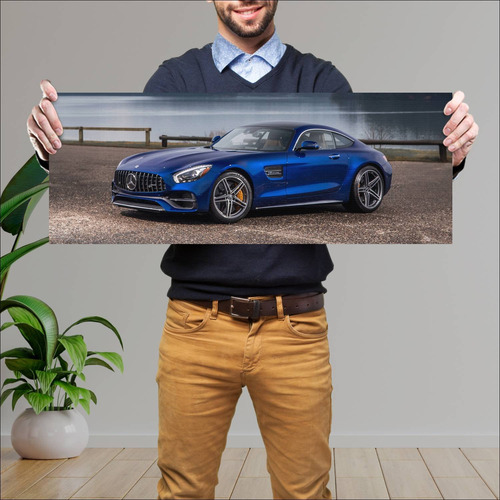 Cuadro 30x80cm Auto 2018 Mercedes Amg Gt C Us 77 990