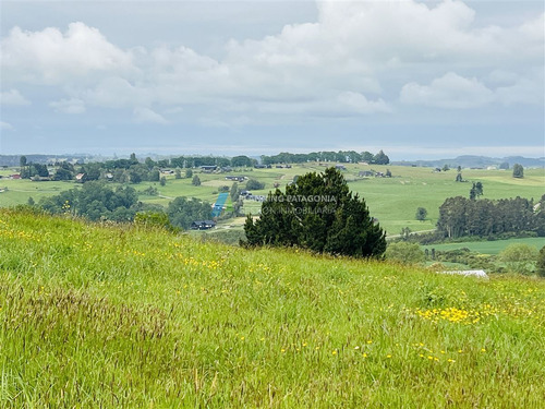 Parcelas En Venta Con Vista Al Lago Y Volcanes En Frutillar