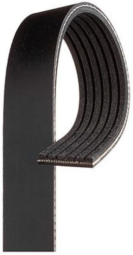 Puertas K050345rpm Micro-v Belt (k050345rpm Rpm S), 1 Pack