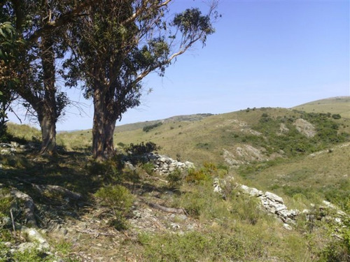 Campo En Maldonado - Los Caracoles- Ref: 31037