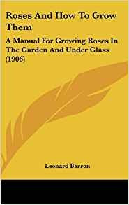 Roses And How To Grow Them A Manual For Growing Roses In The