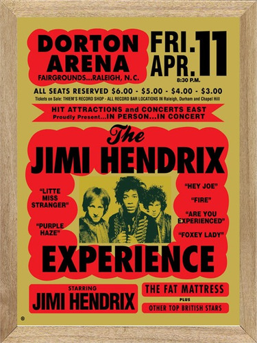 Jimi Hendrix Cuadros Posters Carteles  M481