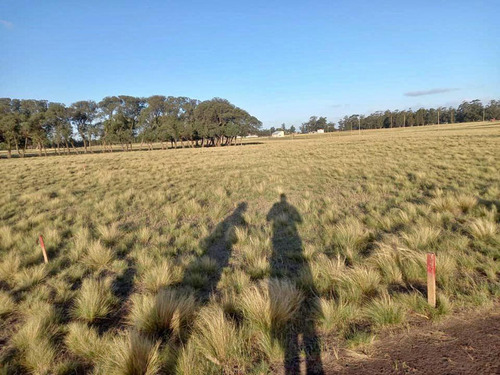 Terreno En Venta - 392mts2 - Necochea