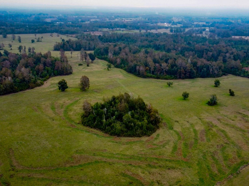 Imagen 2 de 13 de Campo Subdividido De 49,2ha - Villarrica