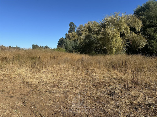 Parcela En Venta En Pelarco