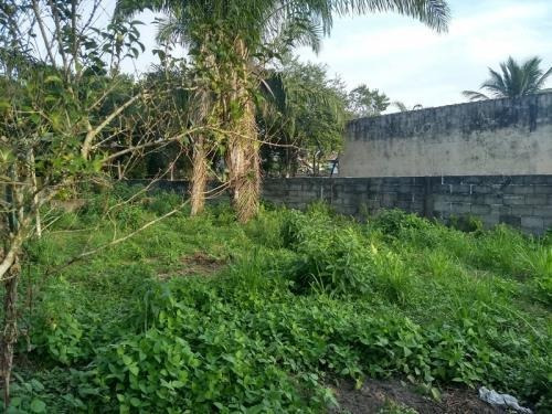 Imagem 1 de 11 de Lote Aterrado 500 Mts Do Centro Comercial- Itanhaém 6908 Npc