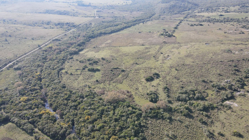 Campo De 55ha En Maldonado  (ref: Atm-7081)