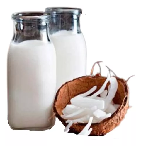 Leche Vegetal de Coco en Polvo