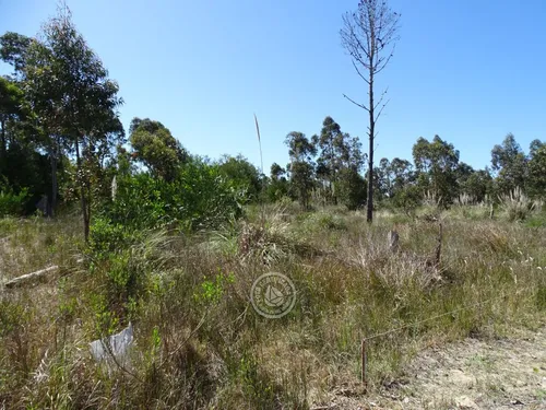 Terreno En La Esmeralda M325 S8 En La Esmeralda