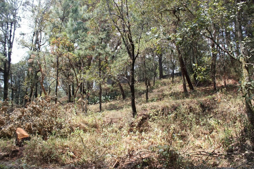 Imagen 8 de 10 de Terreno Grande Y Económico