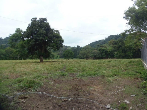 Imagen 28 de 30 de Finca En Venta San Felipe 1500 Ha, #23-14481
