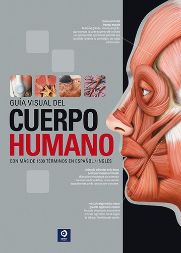 Libro Guía Visual Del Cuerpo Humano