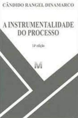 A Instrumentalidade Do Processo