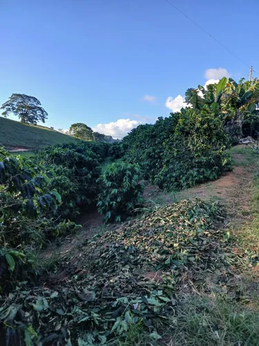 Propriedade Rural 22 Hectares