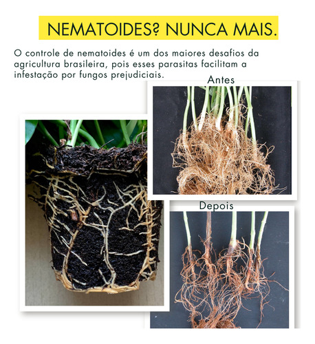 Redução De Nematoides + Raiz Forte | Nema Bio 1l Solo Doente