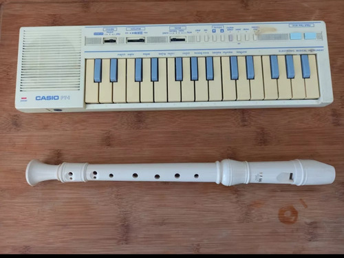 Mini Órgano Casio Pt 1 Vintage + Flauta Dulce Yamaha 